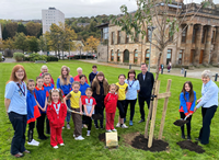 Girlguiding tree Port Glasgow